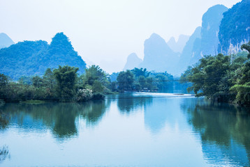 什么是生物的种和界？