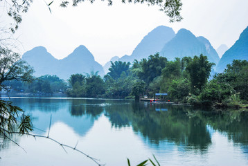 什么是生物的种和界?